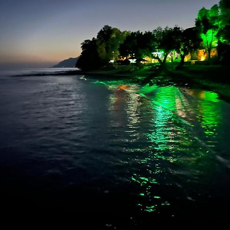 Nikkon Luxury Living Villa Arvi  Dış mekan fotoğraf