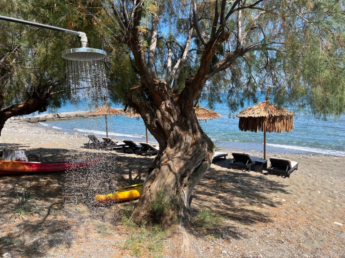 Nikkon Luxury Living Villa Arvi  Dış mekan fotoğraf