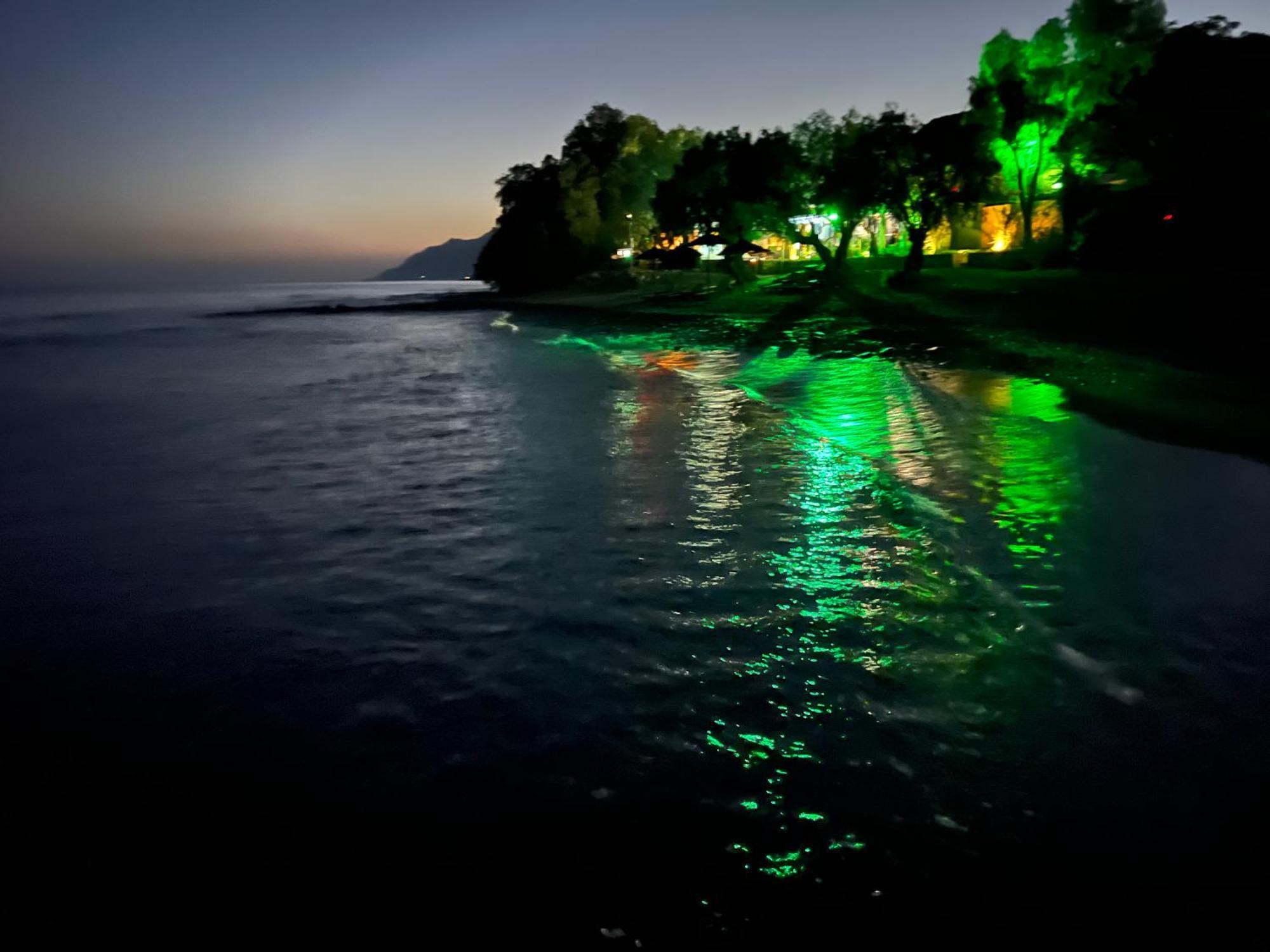 Nikkon Luxury Living Villa Arvi  Dış mekan fotoğraf