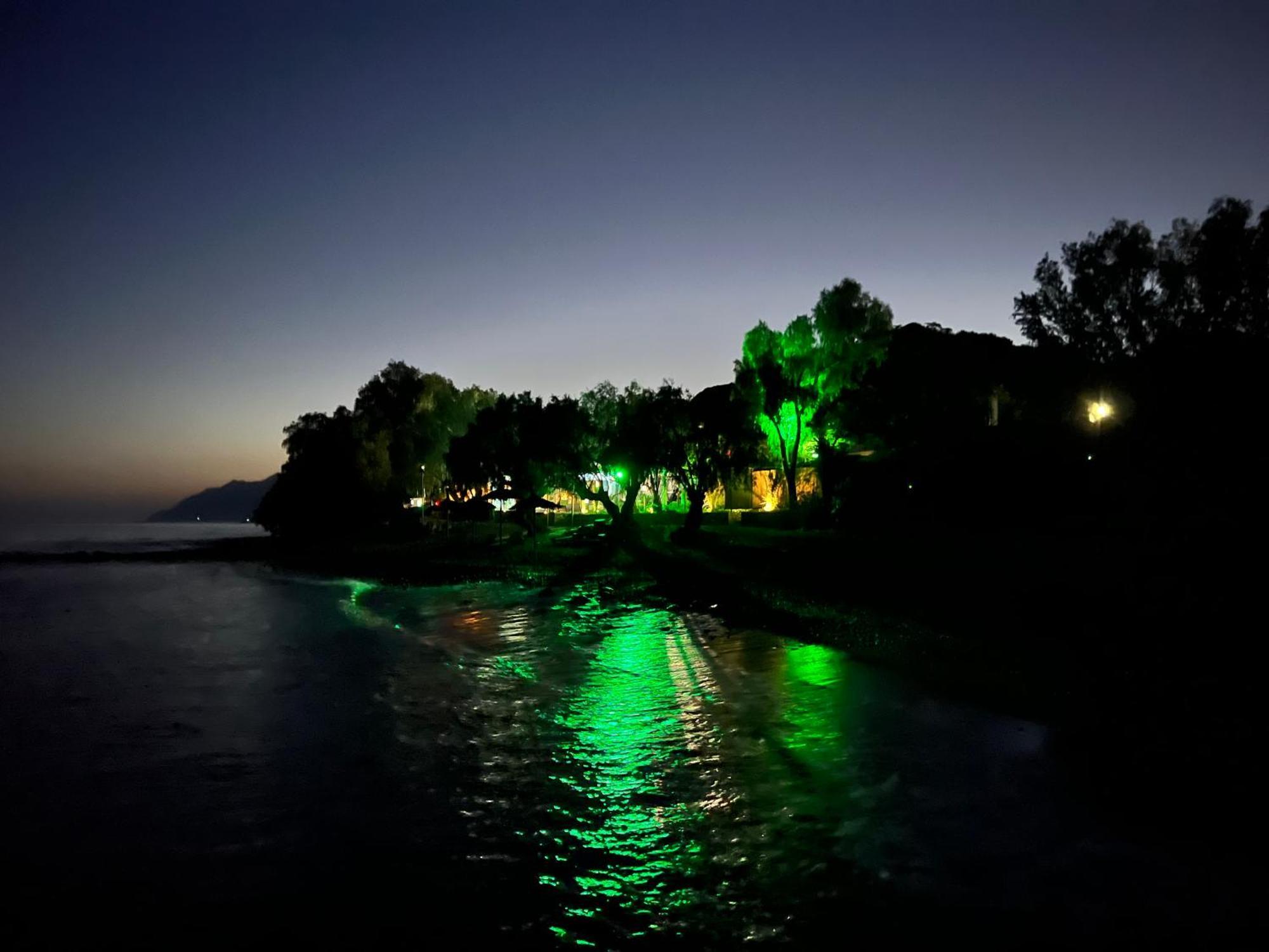Nikkon Luxury Living Villa Arvi  Dış mekan fotoğraf